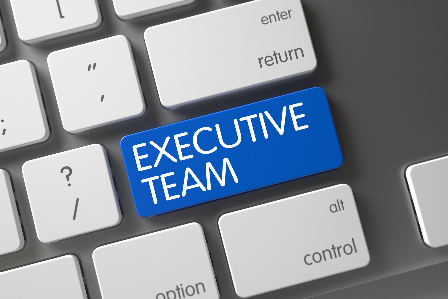 Executive coaching team